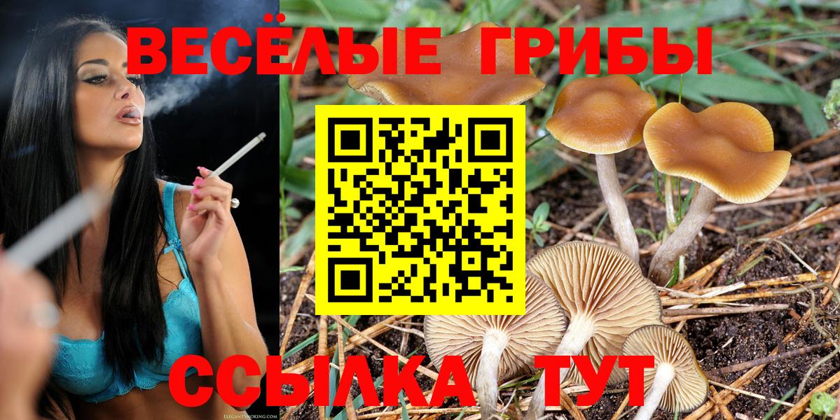 Псилоцибиновые грибы Psilocybine cubensis  магазин    Донской  Вход с VPN 
